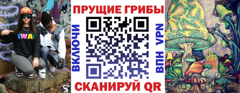 продажа наркотиков  Воскресенск  Псилоцибиновые грибы Psilocybe 